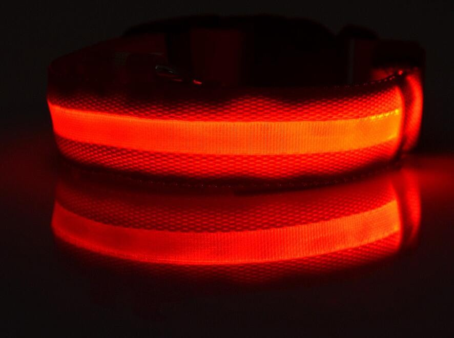 Dogs Nylon LED Collar Dogs Nylon LED Collar