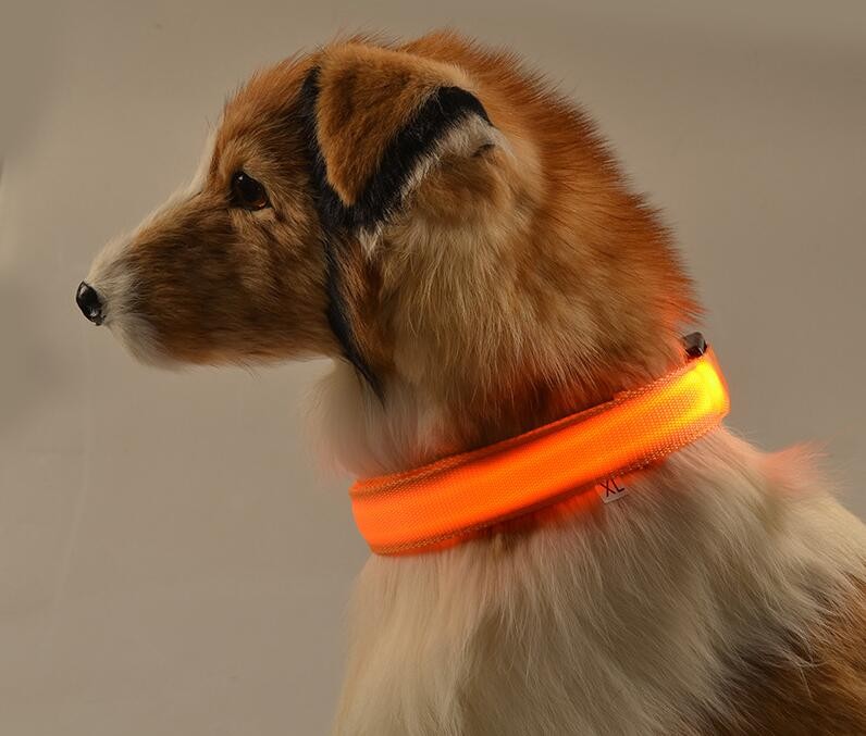 Dogs Nylon LED Collar Dogs Nylon LED Collar