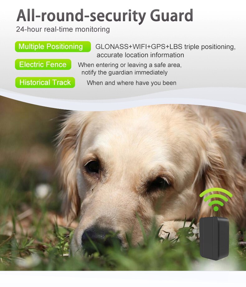 Pets Mini GPS Tracker Locator Pets Mini GPS Tracker Locator