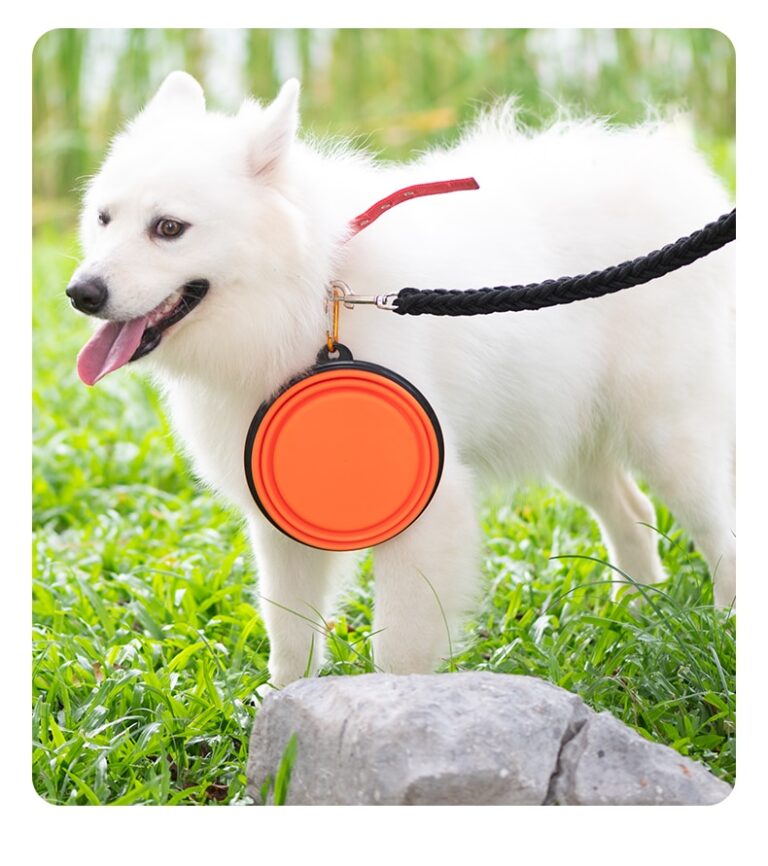 Comedero portátil plegable de silicona para mascotas