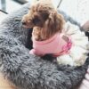 987-yykacu.jpg Cama mullida redonda para mascotas