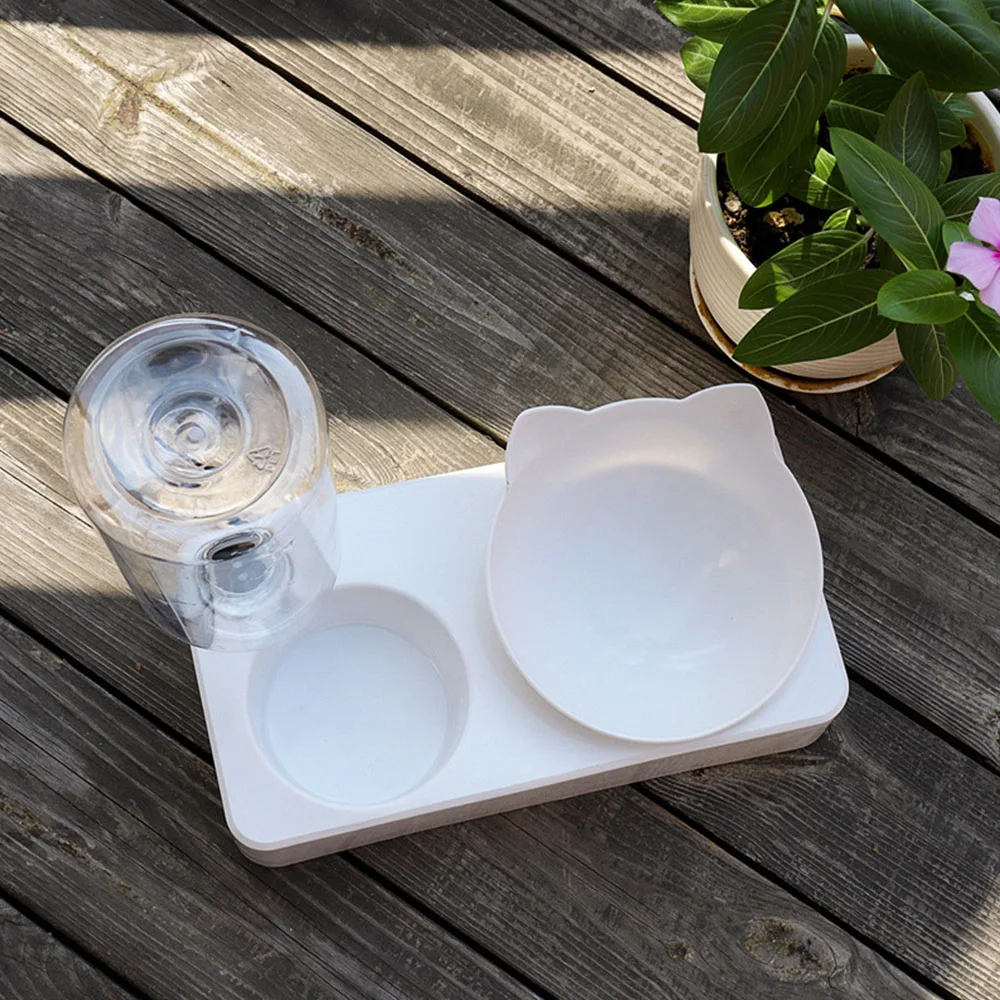 Comedero y bebedero para gatos