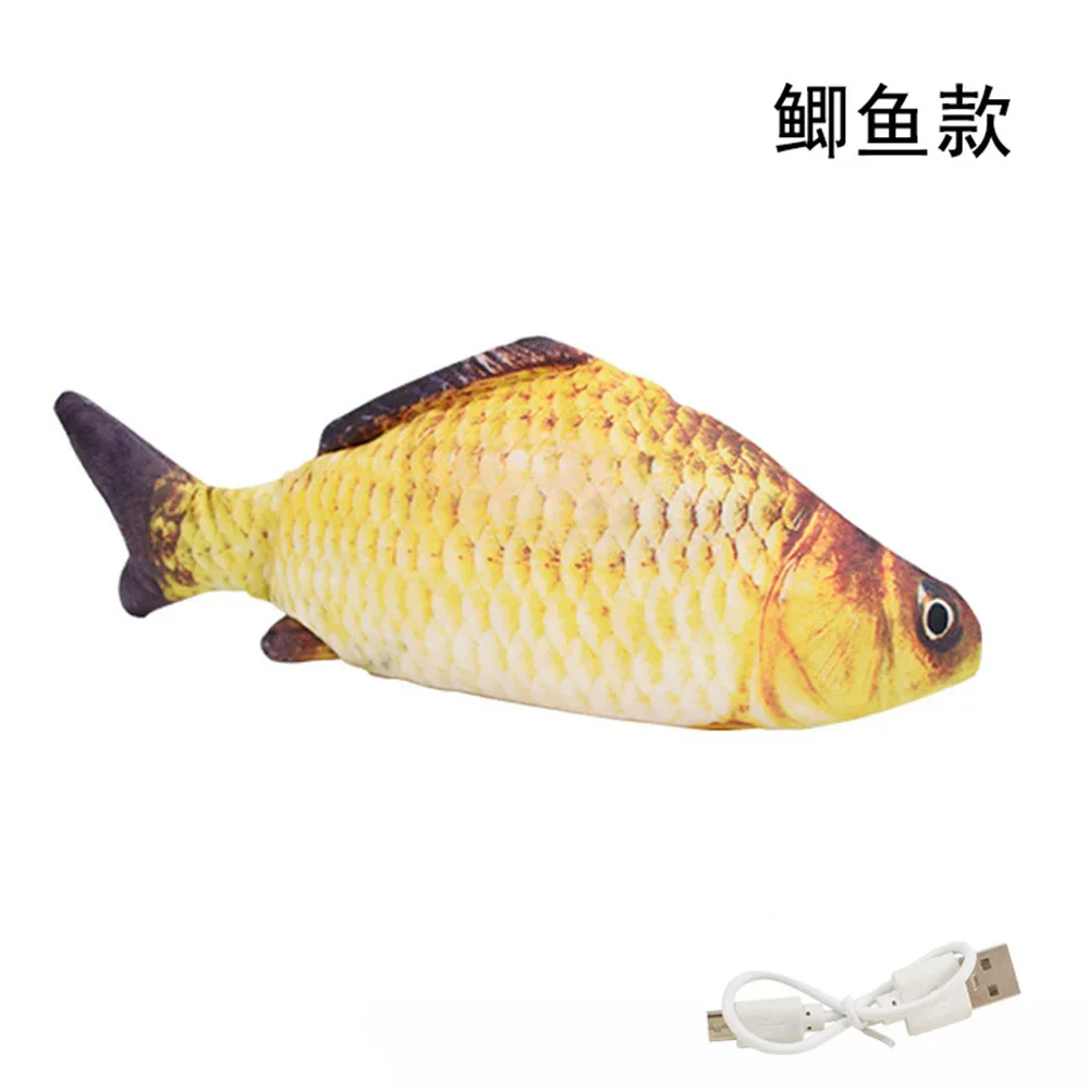 Crucian Carp