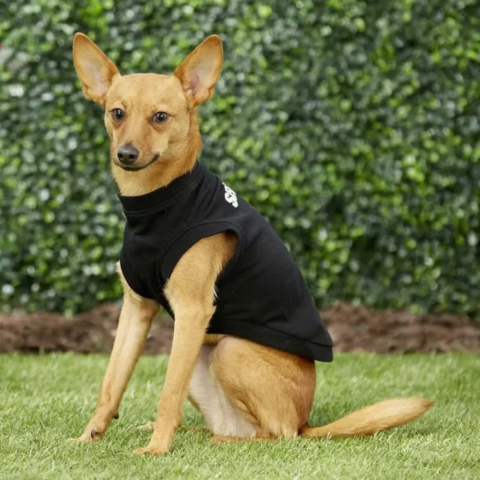Camisa de seguridad para perros, disfraz de guardia para cachorros, camiseta de algodón, ropa de verano para perros grandes, medianos y pequeños, pastor alemán.